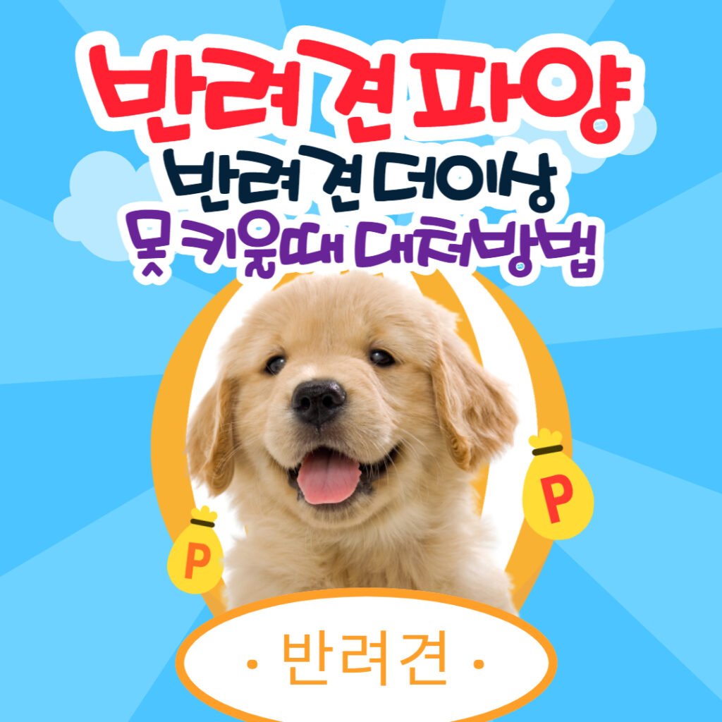 반려견 더이상 못 키울 때