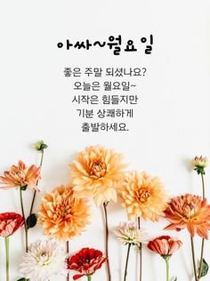 월요일 아침 인사