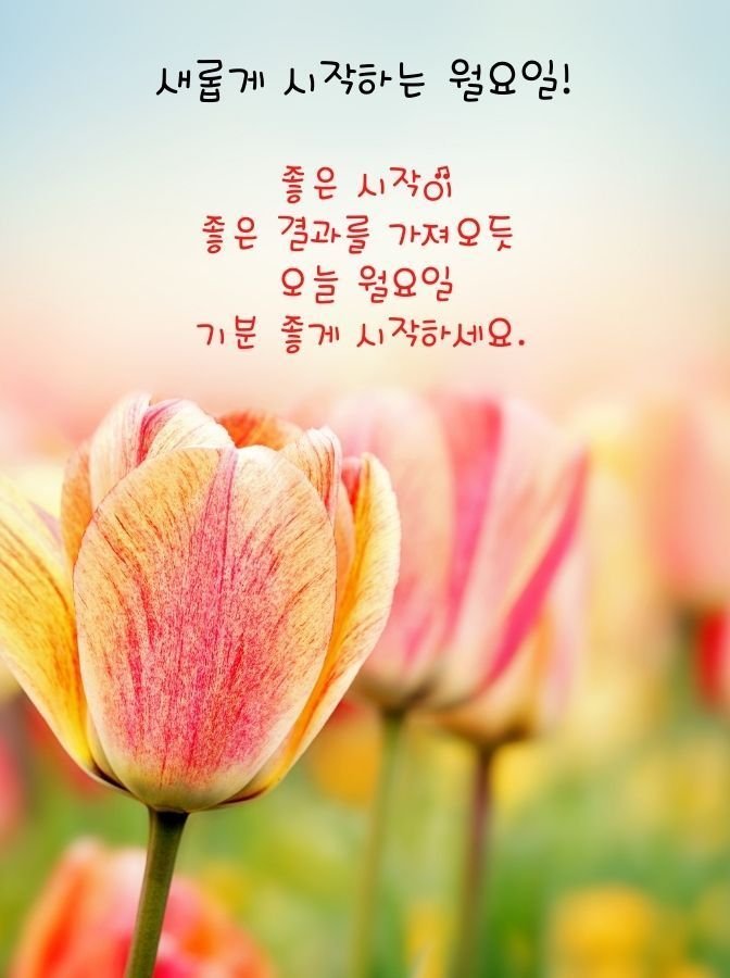 월요일 인사말 아침