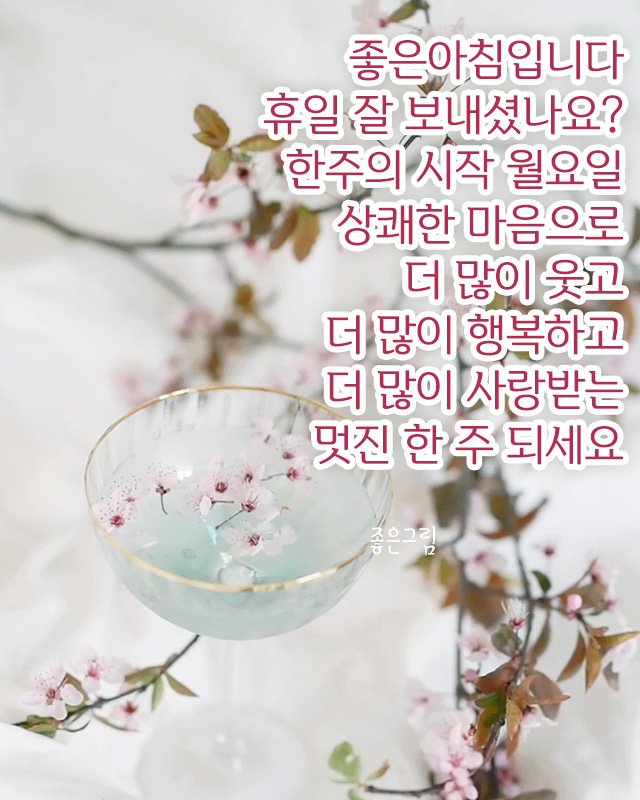 월요일 인사말 이미지