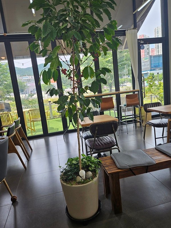 지족동 이음카페 내부