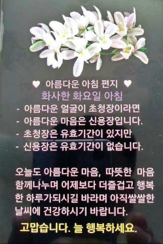 화요일 아침 인사