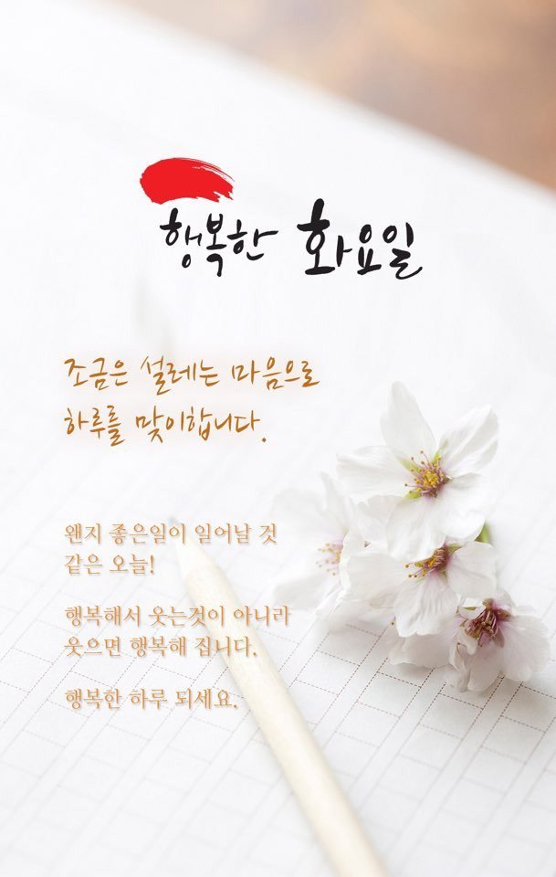 화요일 인사 이미지