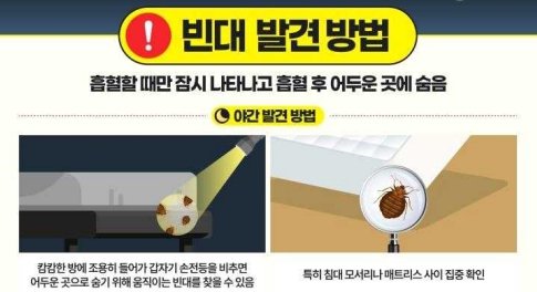 빈대 확인법 야간