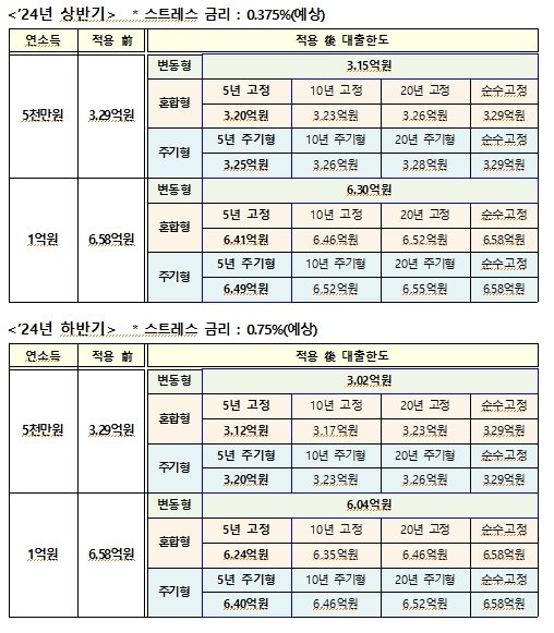 스트레스 DSR한도