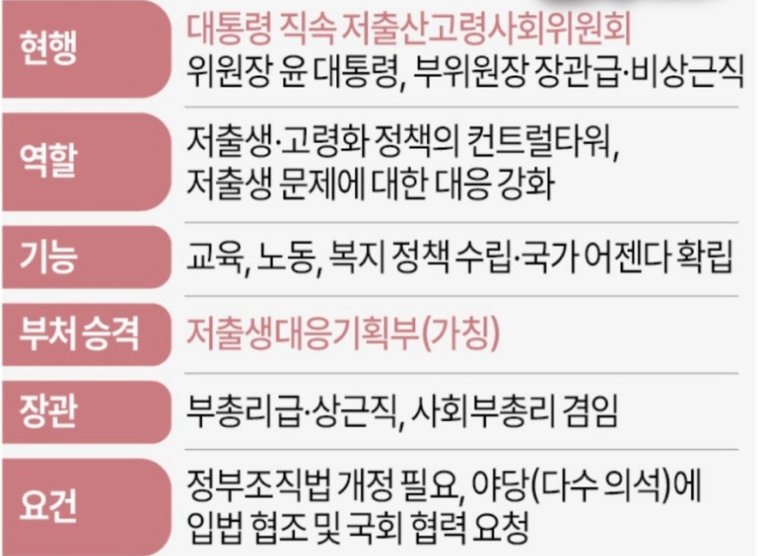 저출생대응기획부 개요